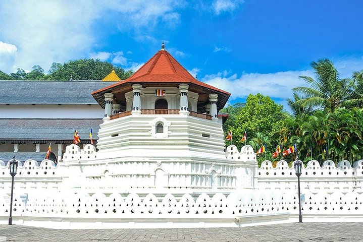 Kandy City Tour by Lux Tours Lanka - Photo 1 of 3